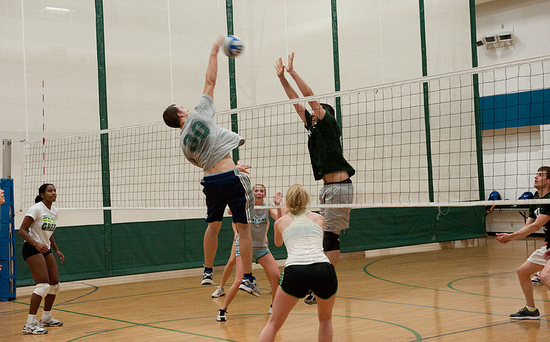 File:Volleyball-12 (6893615624).jpg
