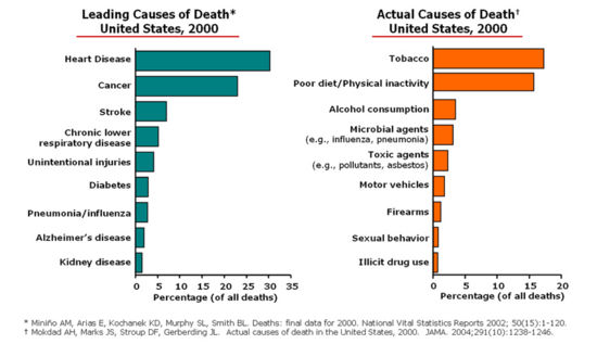 reported and underlying causes of death, 2000