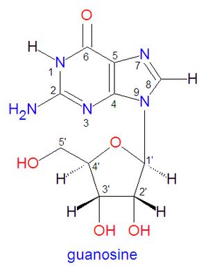 Guanosine.jpg