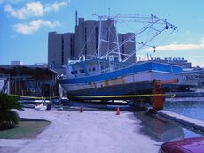 University of Texas Medical Branch Research Vessel Marie Hall washed up from its dock during Hurricane Ike.