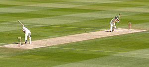 Cricket picture.jpg