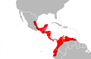 Bothrops asper distribution.png