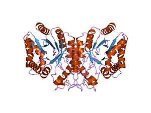 PDB 1xkj EBI.jpg