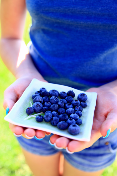 File:Girl in blue with blueberries.png