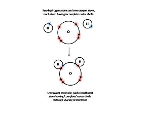 WATER MOLECULE2.jpg