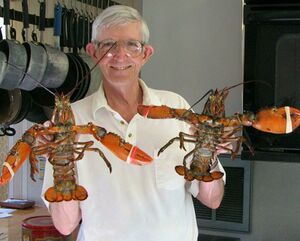 Lobsters.jpg