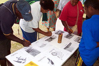 People in Port Vila, Vanuatu express their language equivalents for the pictured items. Vanuatu has over 100 languages, most of which are unwritten.