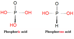 H3PO4 H3PO3 stickfigures DEVolk.png