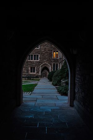 Princeton VII.jpg