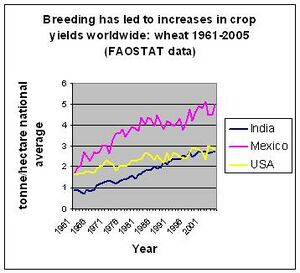 WheatyieldsFAOdata.jpg