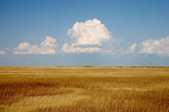 The prairie of South Dakota.