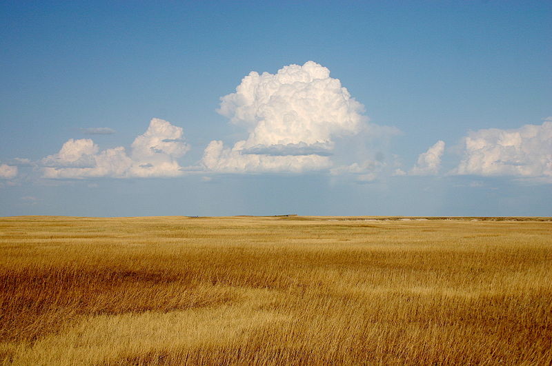 File:Cumulus Clouds over Yellow Prairie.jpg